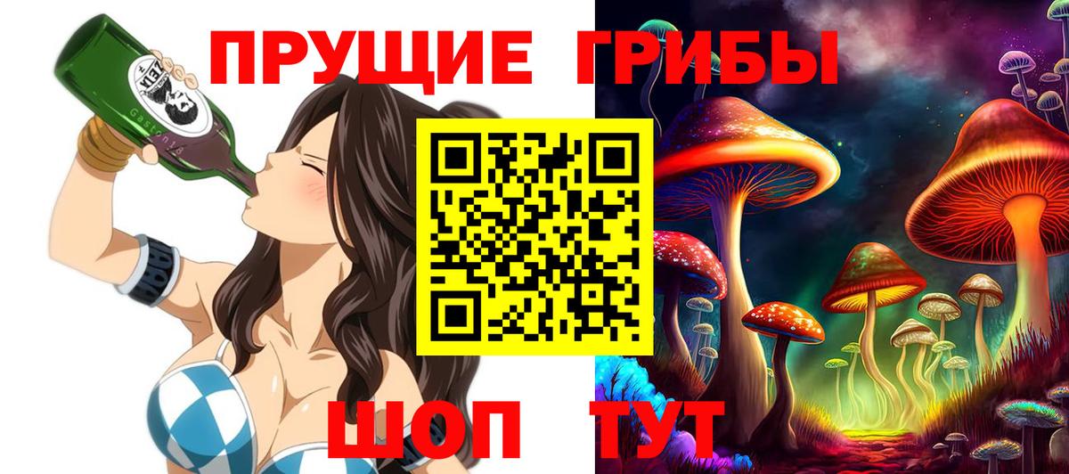 Псилоцибиновые грибы GOLDEN TEACHER  Вход с VPN  Псилоцибиновые грибы прущие грибы  Скопин 