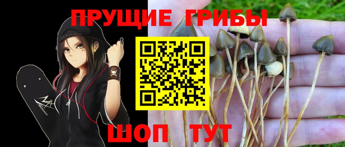 Галлюциногенные грибы GOLDEN TEACHER Скопин
