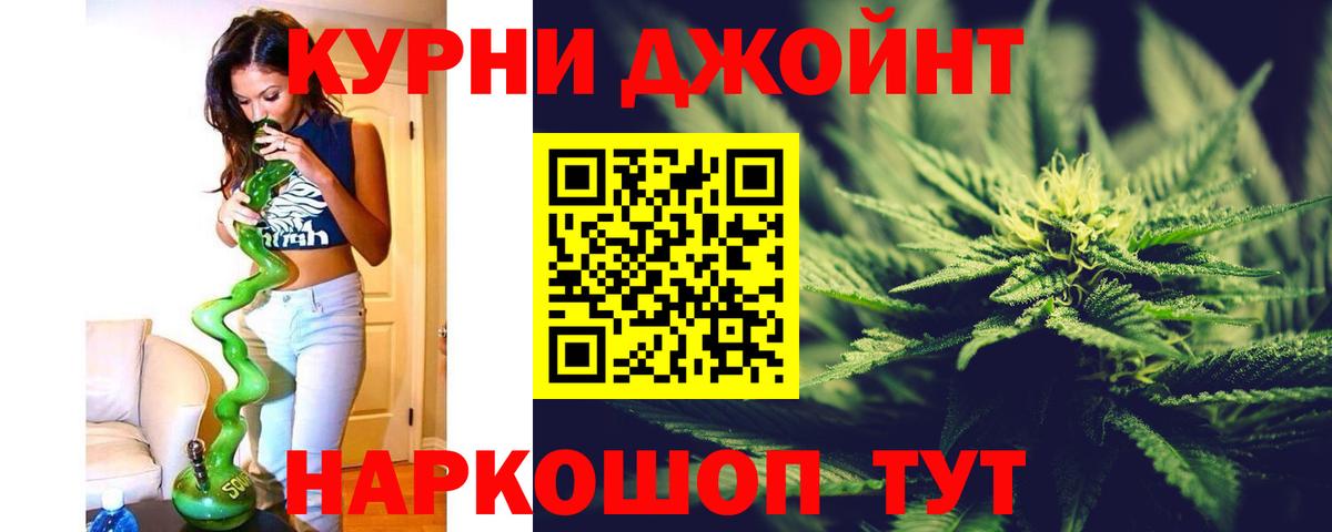 Конопля сатива Скопин
